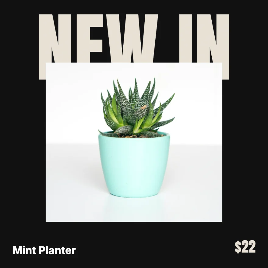 New In: the Mint Planter under a large New In headline.