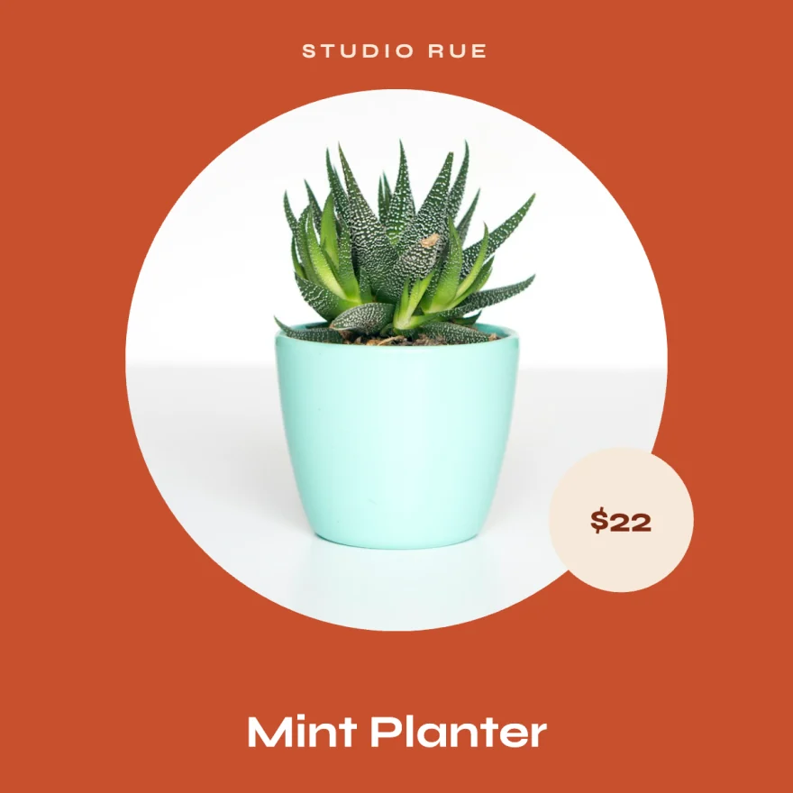 The Spotlight template on a Lowtide product.